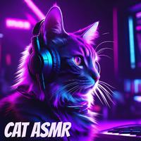 Cat Asmr