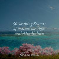 50 Soothing Sounds of Nature for Yoga and Mindfulness