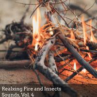 Realxing Fire and Insects Sounds, Vol. 4