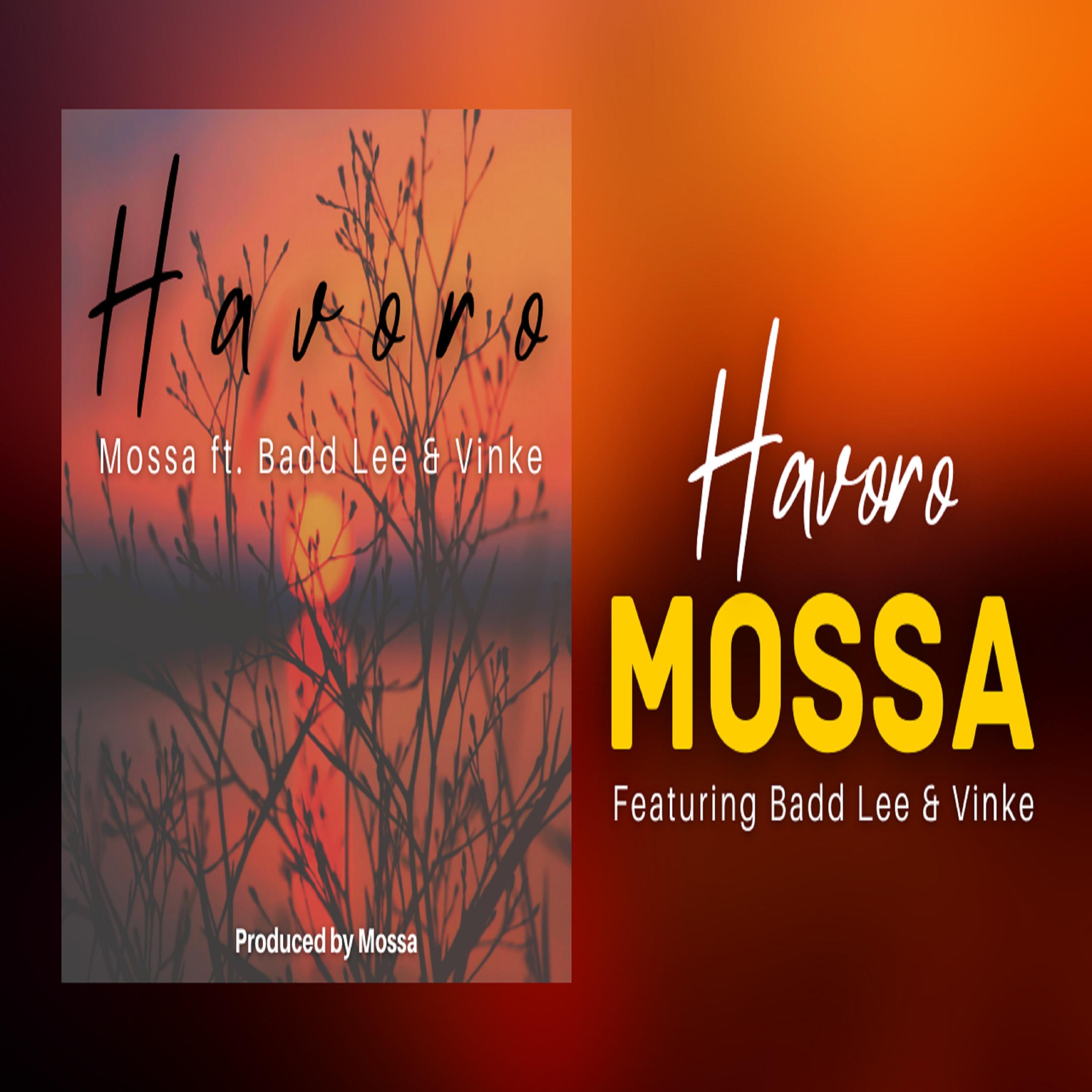 Havoro (feat. Badd Lee & Vinke)