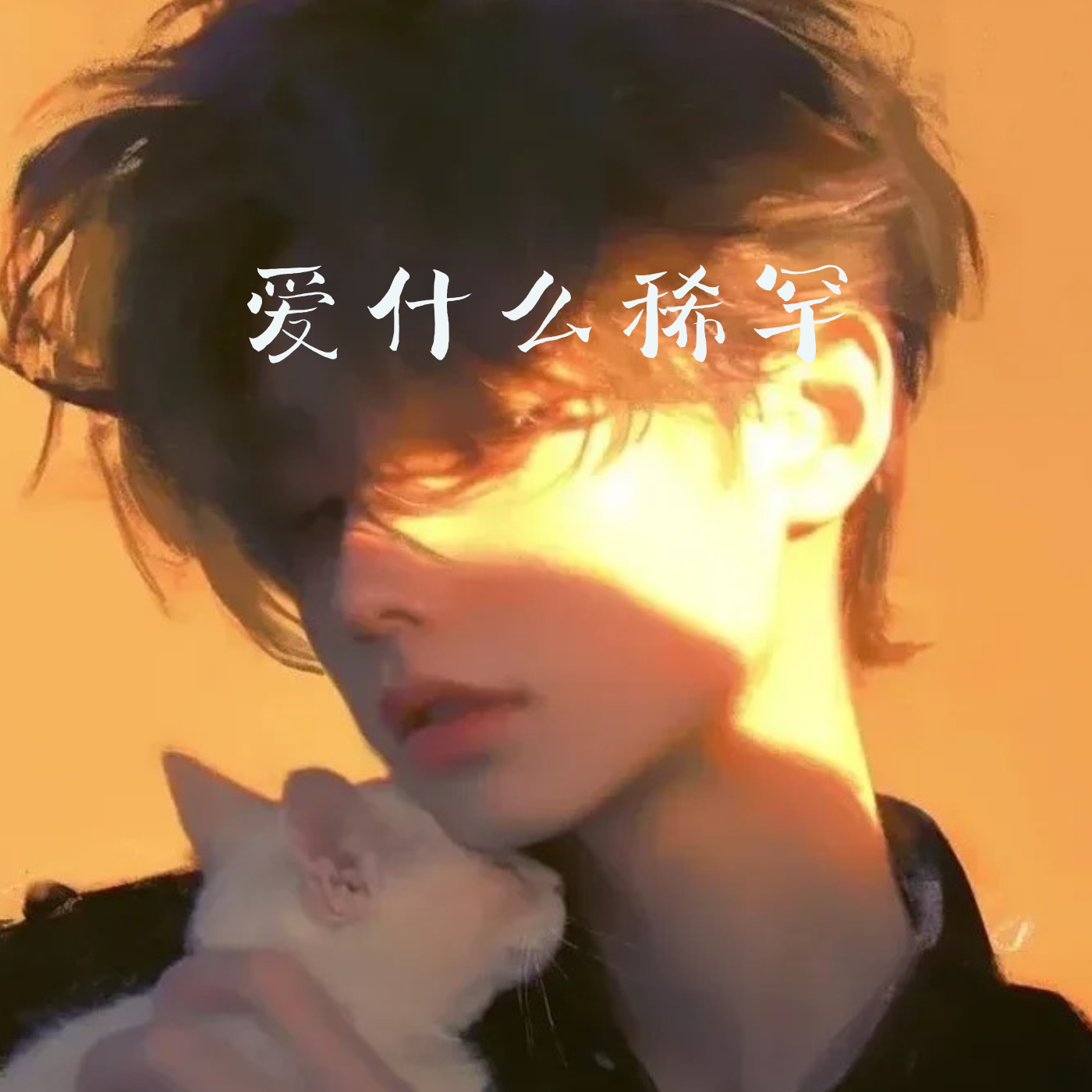 爱什么稀罕(雷鬼版)封面