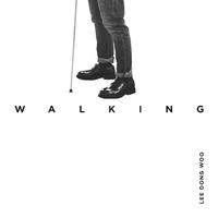 Walking - The 2nd Album