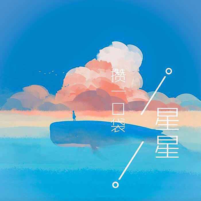 攒一口袋星星封面
