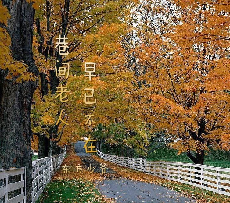爱情算什么东西封面