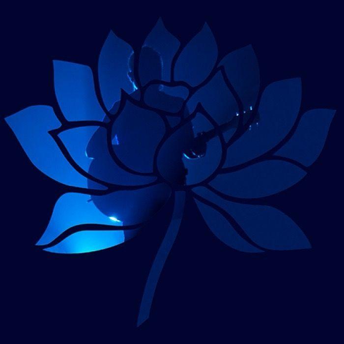 光明之门live封面