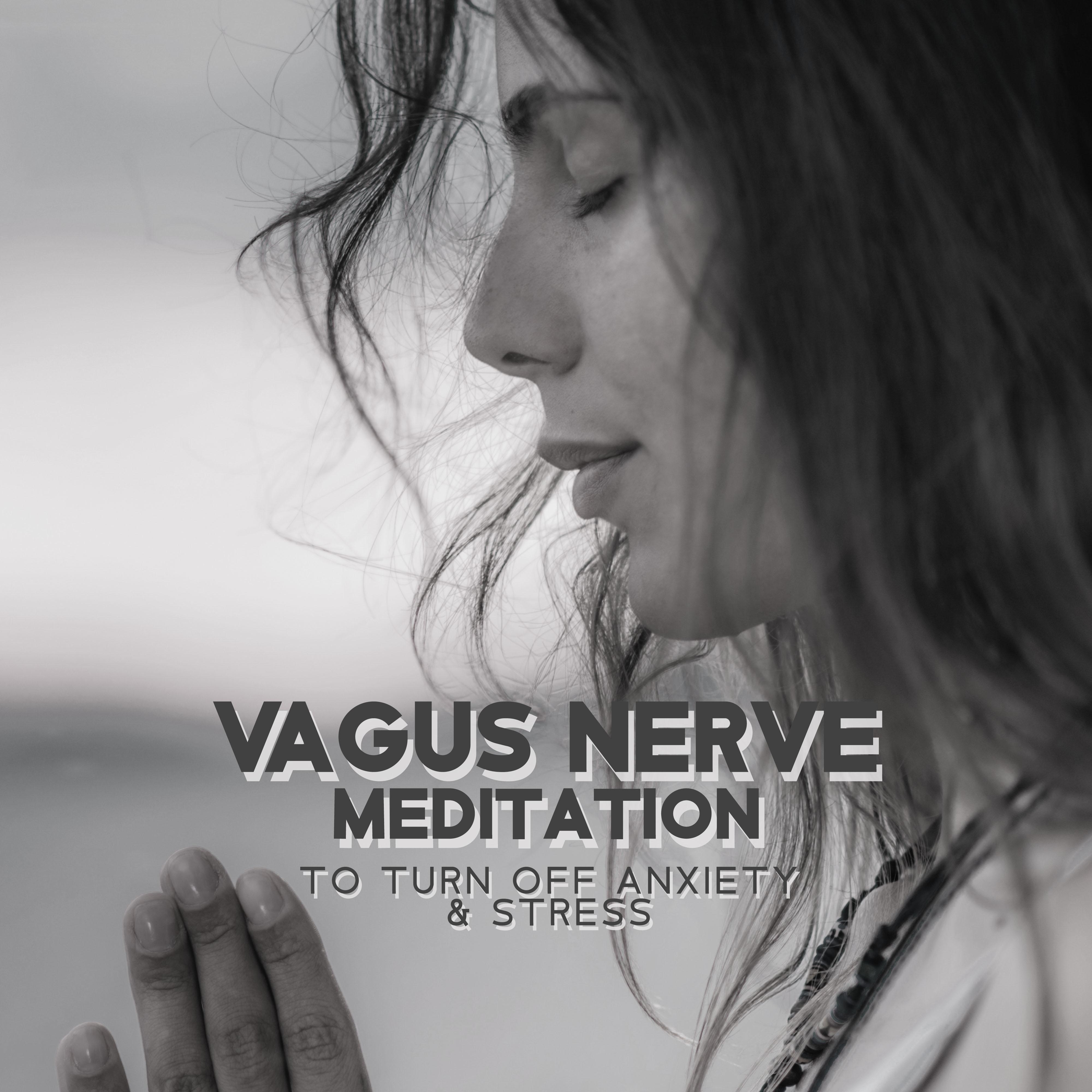 Healing Journey_Less Stress Music Academy_Vagus Nerve Meditation to Turn off Anxiety & Stress | 在线播放_Healing Journey歌词_Healing Journey下载 | 网易云音乐