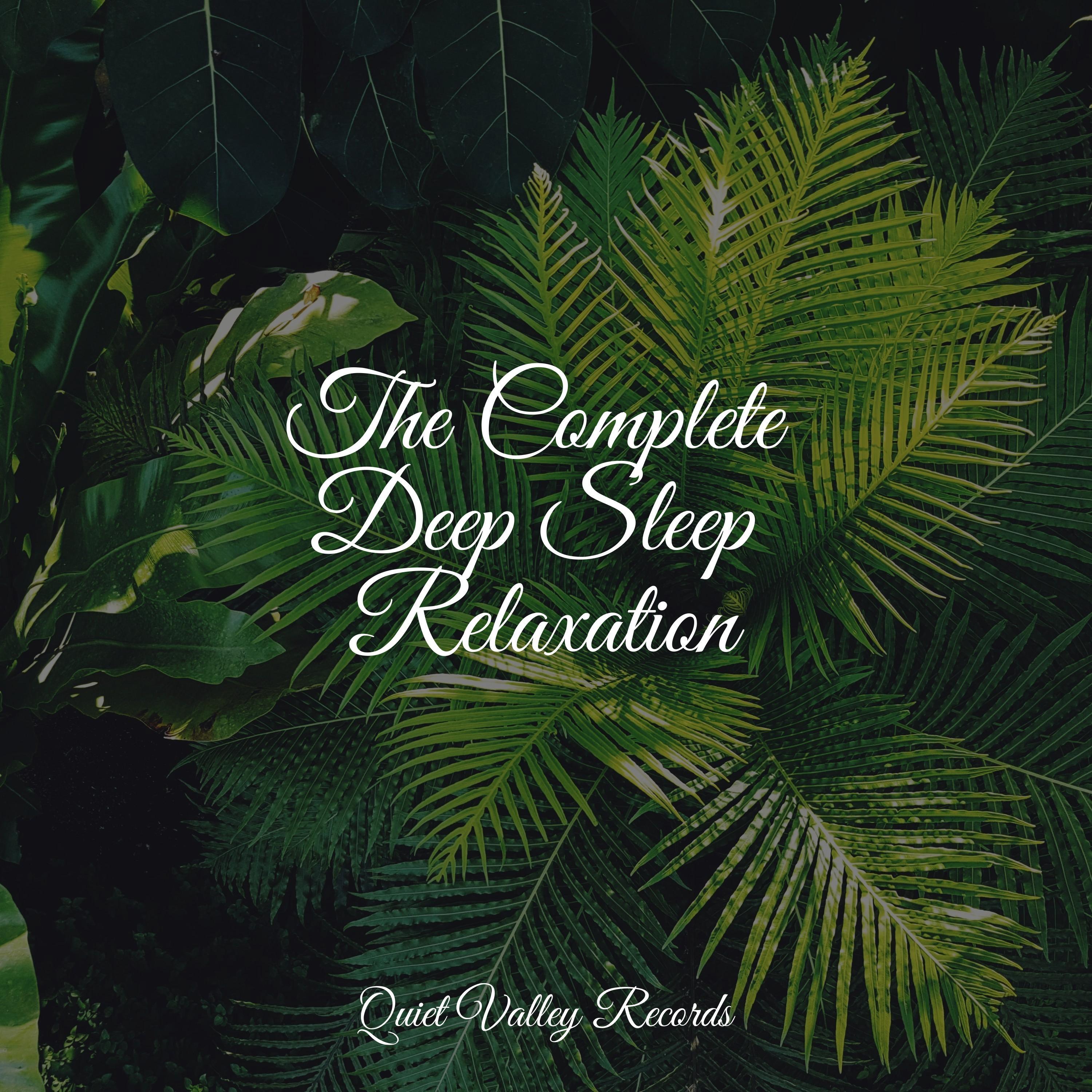 The Complete Deep Sleep Relaxation Tibetan Singing Bowls for