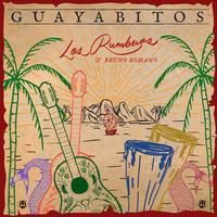 Guayabitos