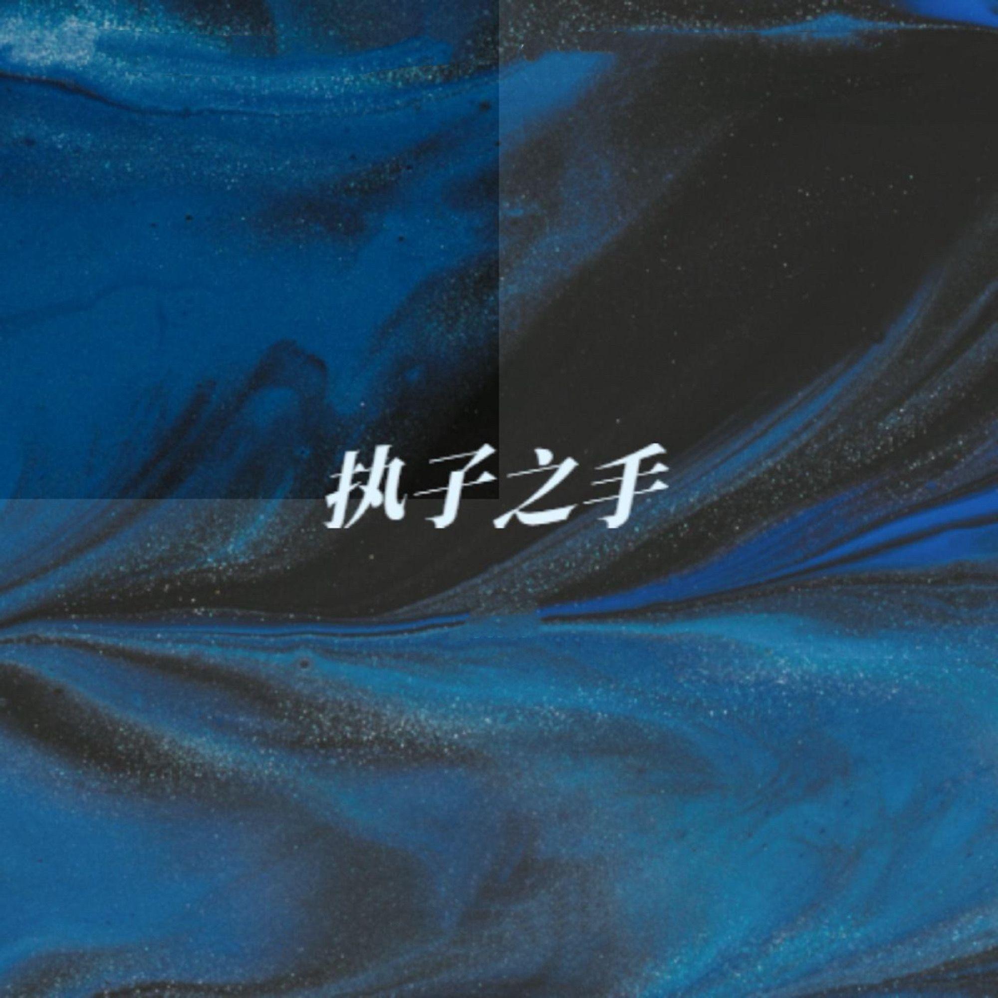执子之手（DJ）（AKA小健 remix）封面