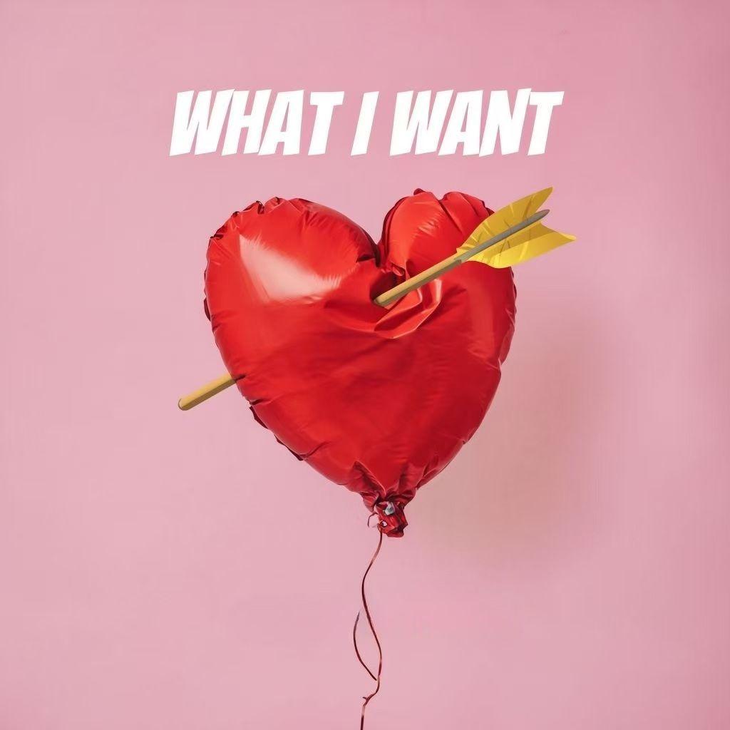 What I Want