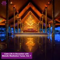 Calm Life in December with Melodic Meditation Tunes, Vol. 7