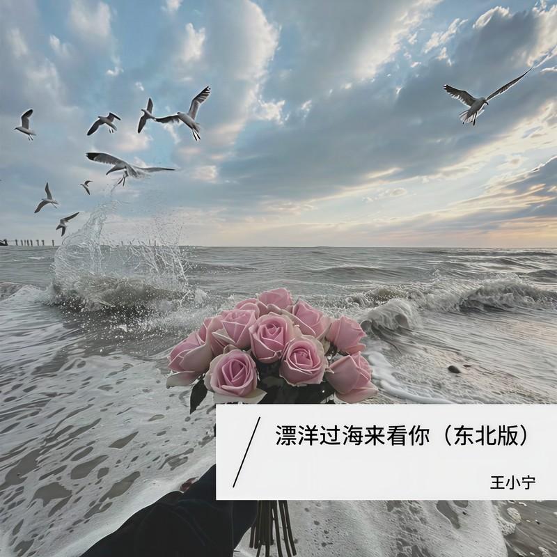 漂洋过海来看你 (伴奏)封面