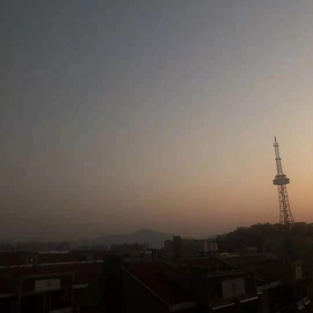 阳光的锋芒封面