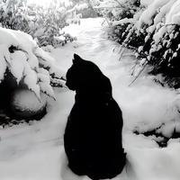 utrrui_资料,utrrui_最新歌曲,utrrui_MV视频,utrrui_音乐专辑,utrrui_好听的歌