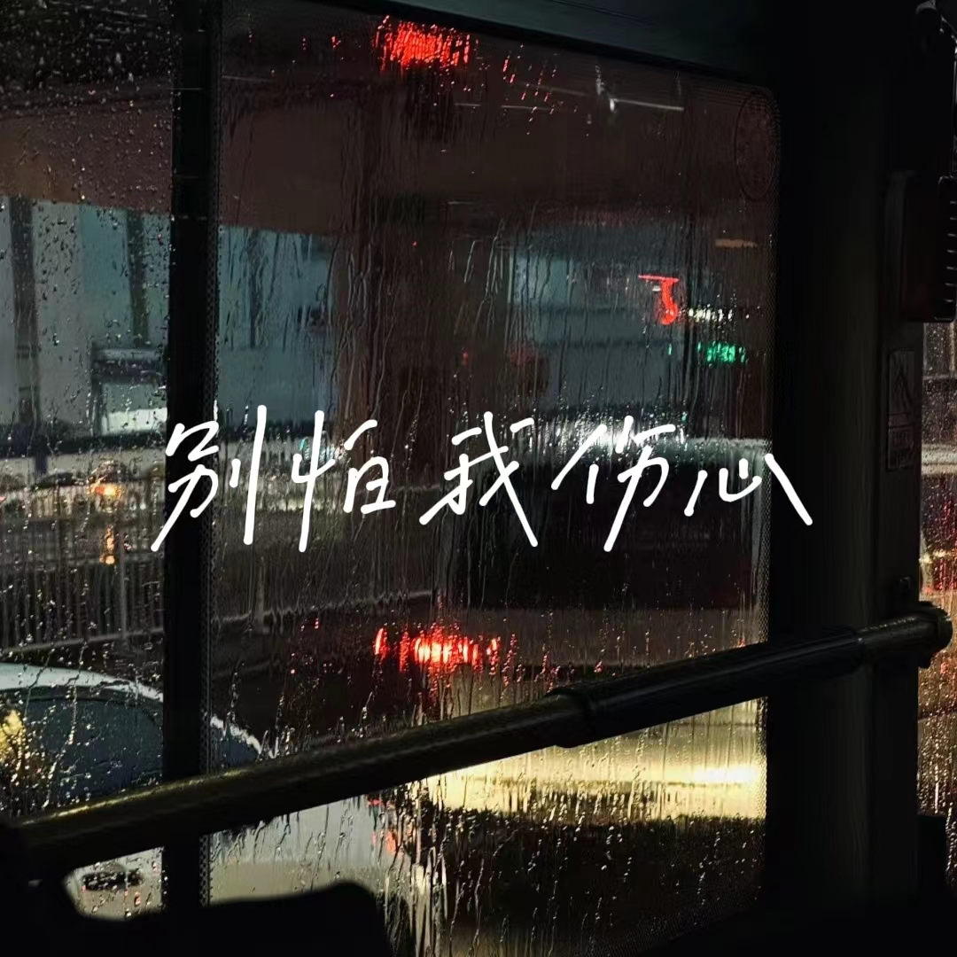别怕我伤心封面