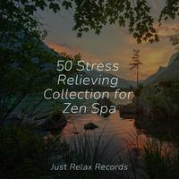 50 Stress Relieving Collection for Zen Spa