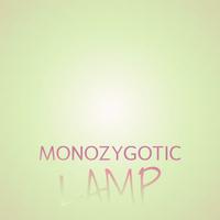 Monozygotic Lamp