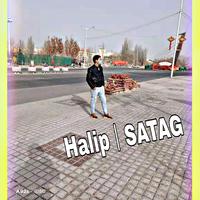 Halip丨SATAG