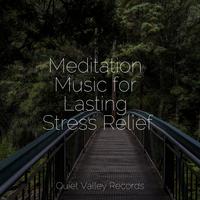 Meditation Music for Lasting Stress Relief For Dogs