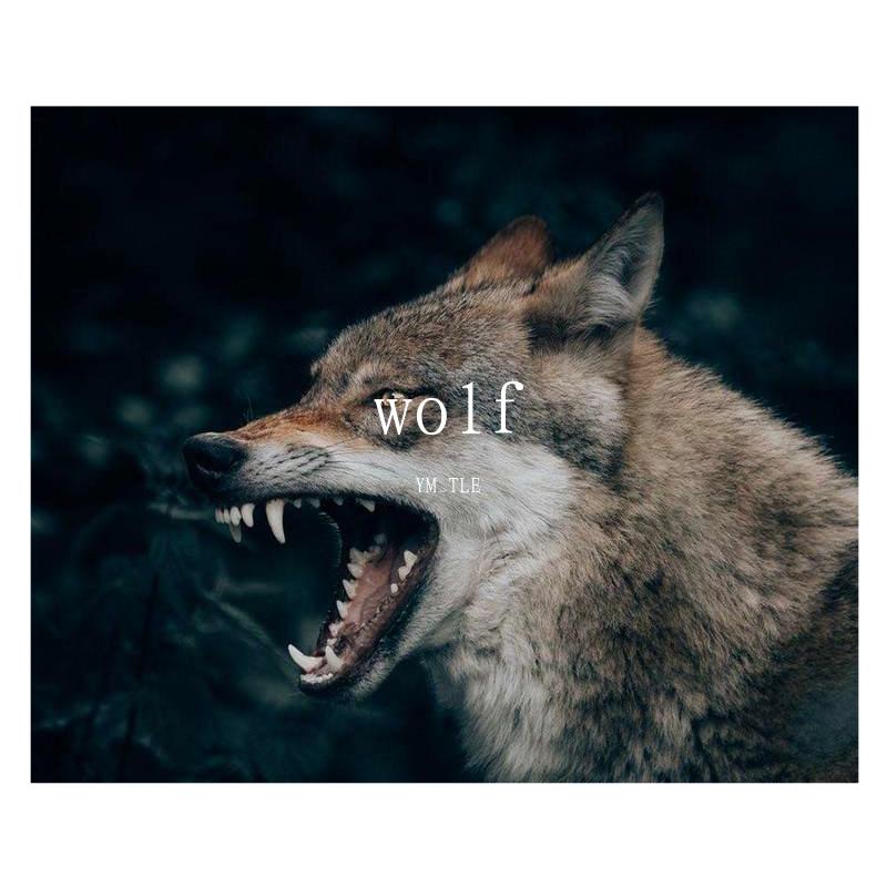 Wolf - MASTER