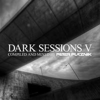 Dark Sessions V (Mixed By Peter Plaznik)