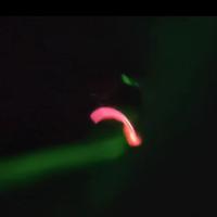 Nerovix - Digital Warrior