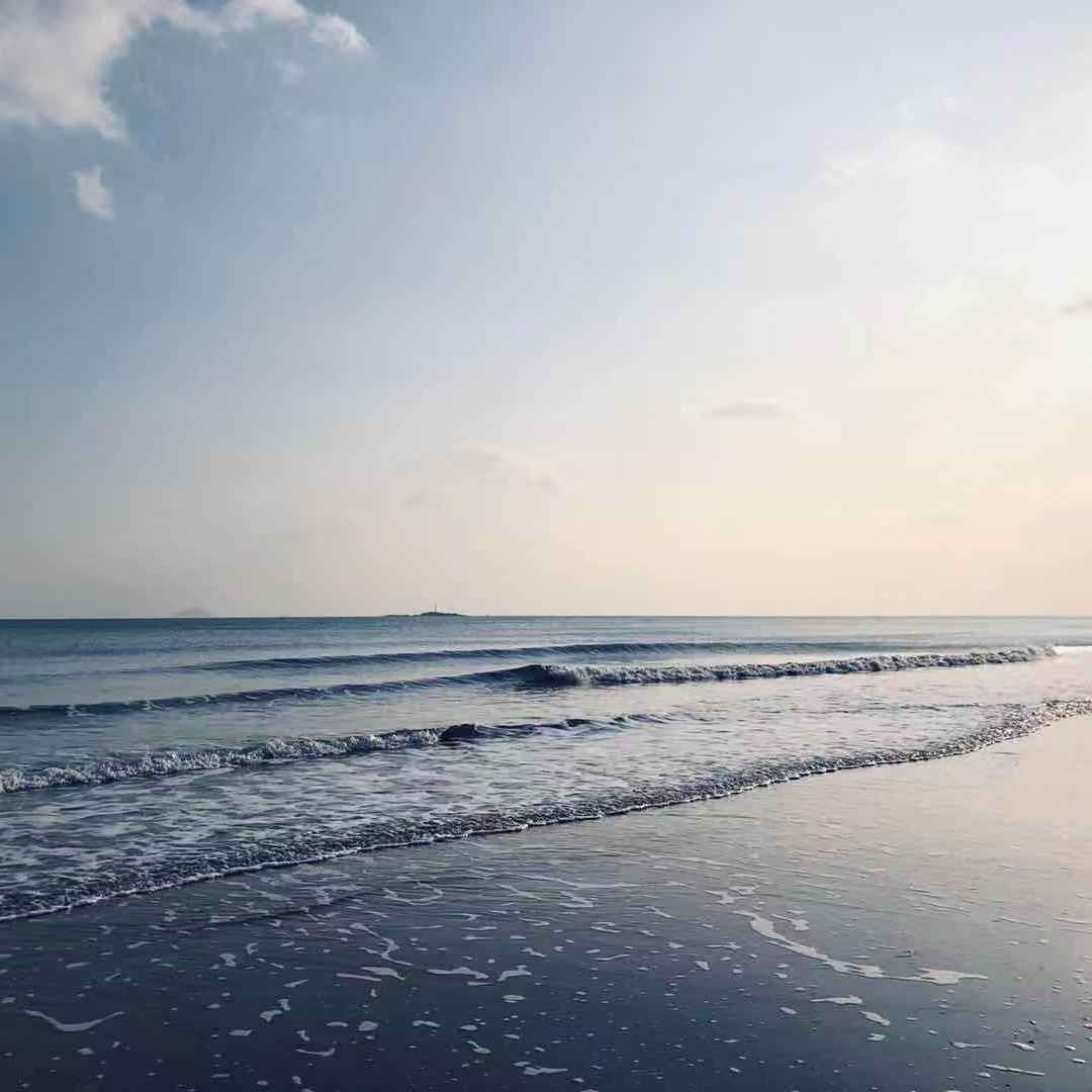 夏天结束了 - 陈喜剧封面