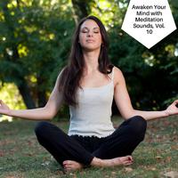 Awaken Your Mind With Meditation Sounds, Vol. 10