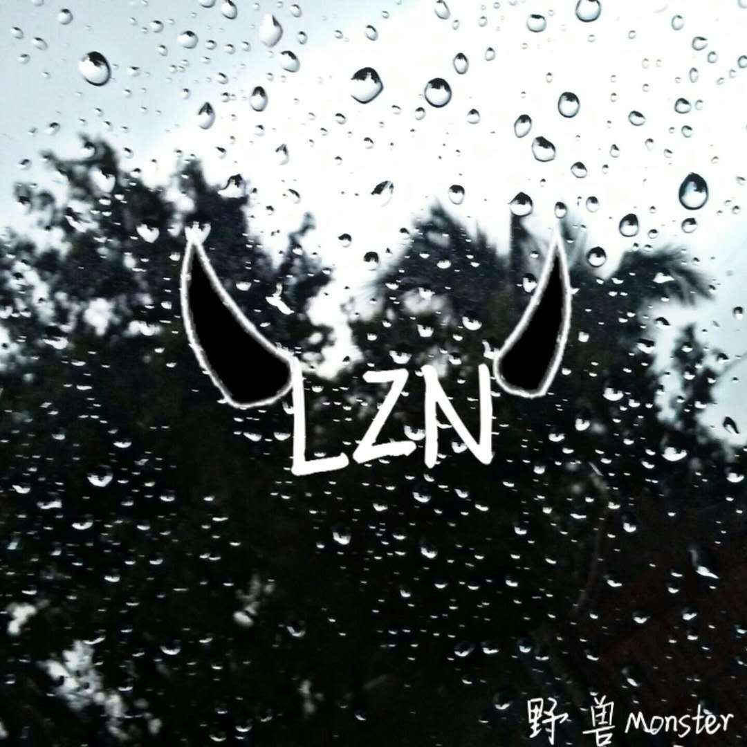 《LZN》封面