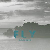 Fly