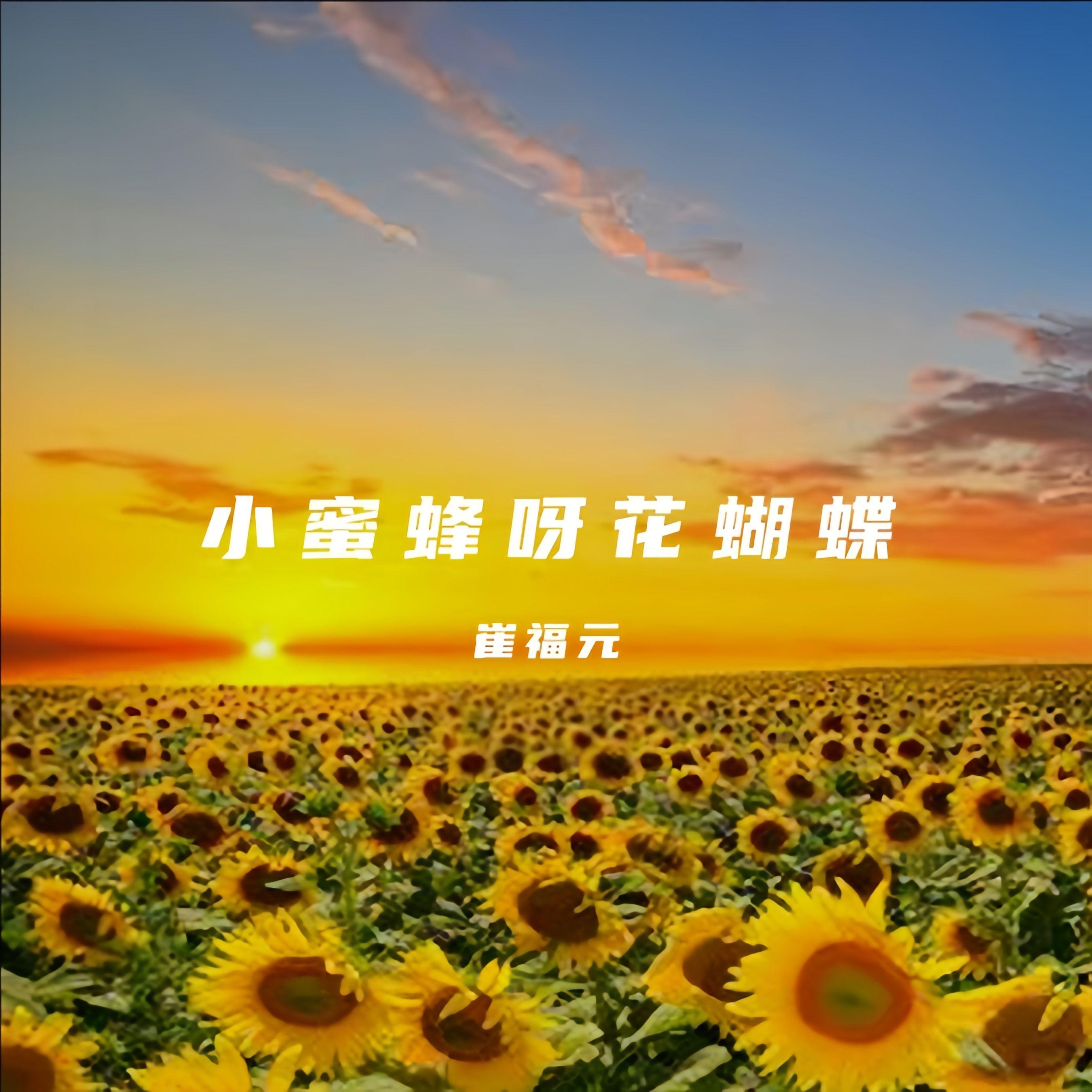 小蜜蜂呀花蝴蝶（DJ版） 伴奏封面