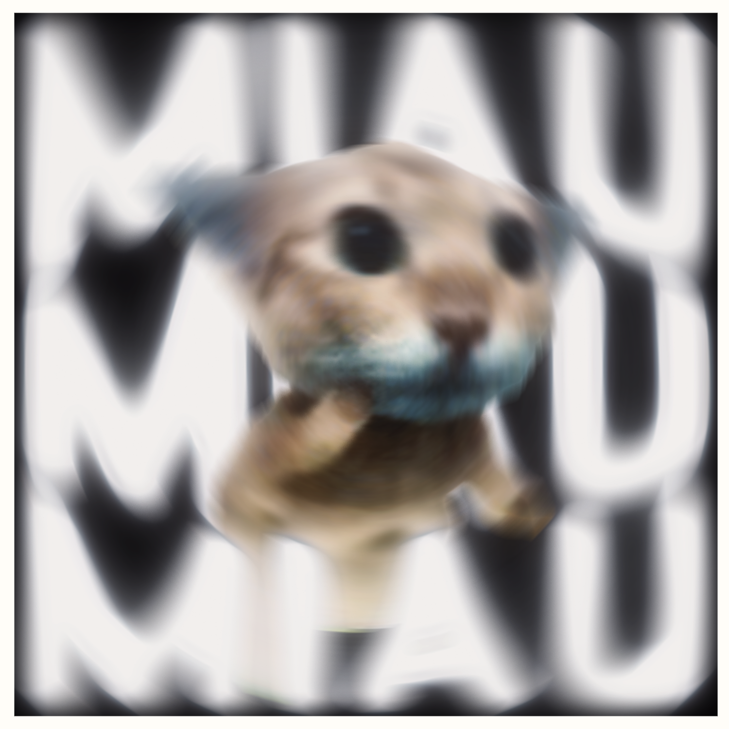 Miau Miau(阿米嘎蒂朵喵喵)