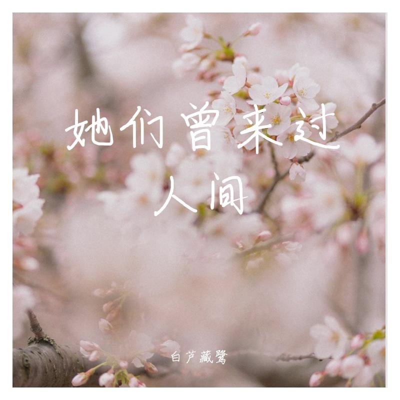 前缘误（《金枝欲孽》同人曲）