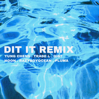 DID IT REMIX