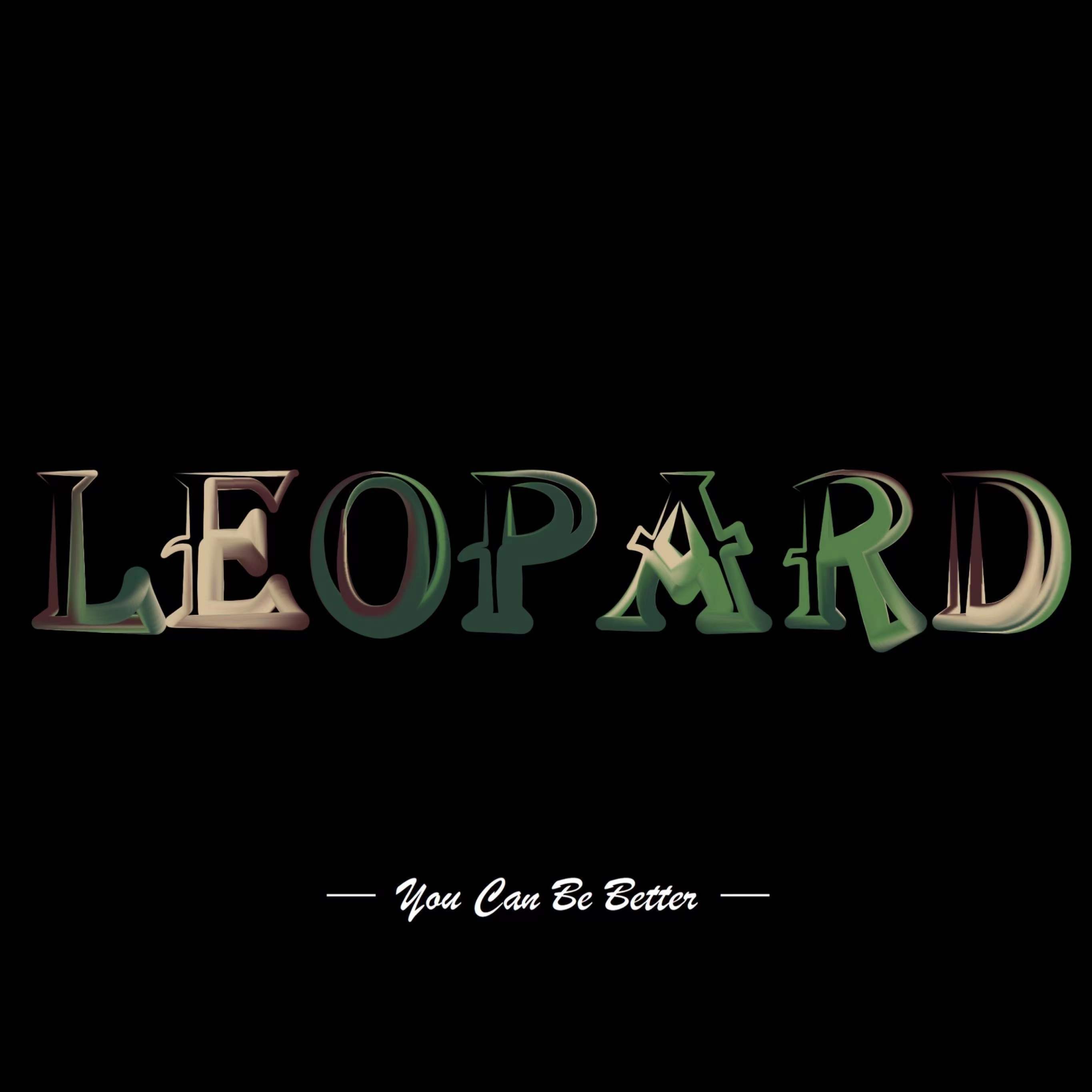 追光者-不再去那片海滩（Leopard remix） - Leopard封面