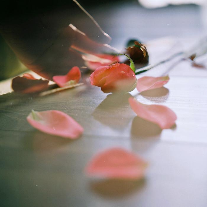 花祭 - 听枫封面