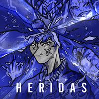 Heridas