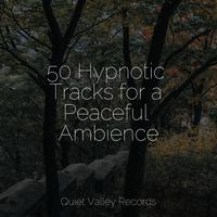 50 Hypnotic Tracks for a Peaceful Ambience