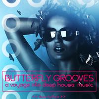 Butterfly Grooves