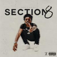 Section 8