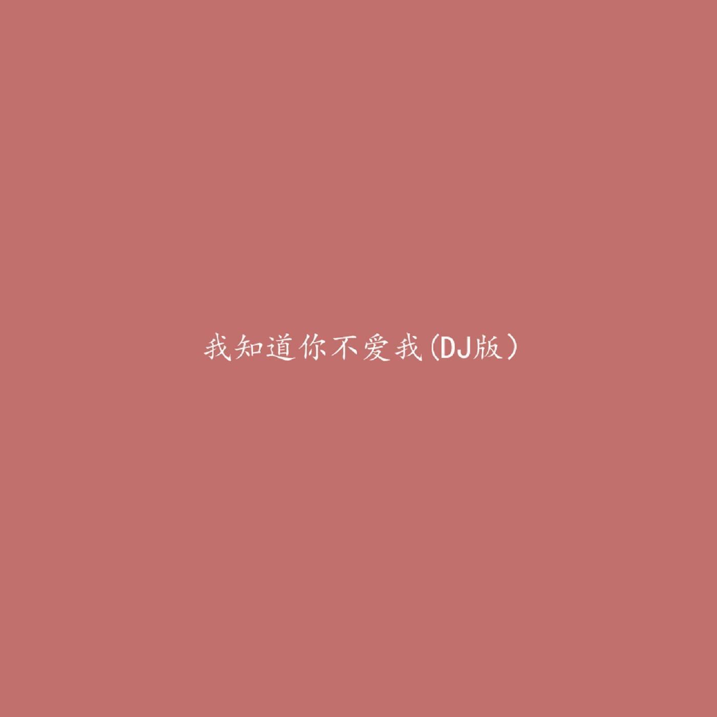 我知道你不爱我（DJ版）_唐77_我知道你不爱我（DJ版） | 在线播放_我知道你不爱我（DJ版）歌词_我知道你不爱我（DJ版）下载 | 网易云音乐