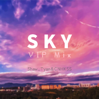 Sky(VIP Mix)（黑历史）