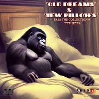 OLD DREAMS NEW PILLOWS