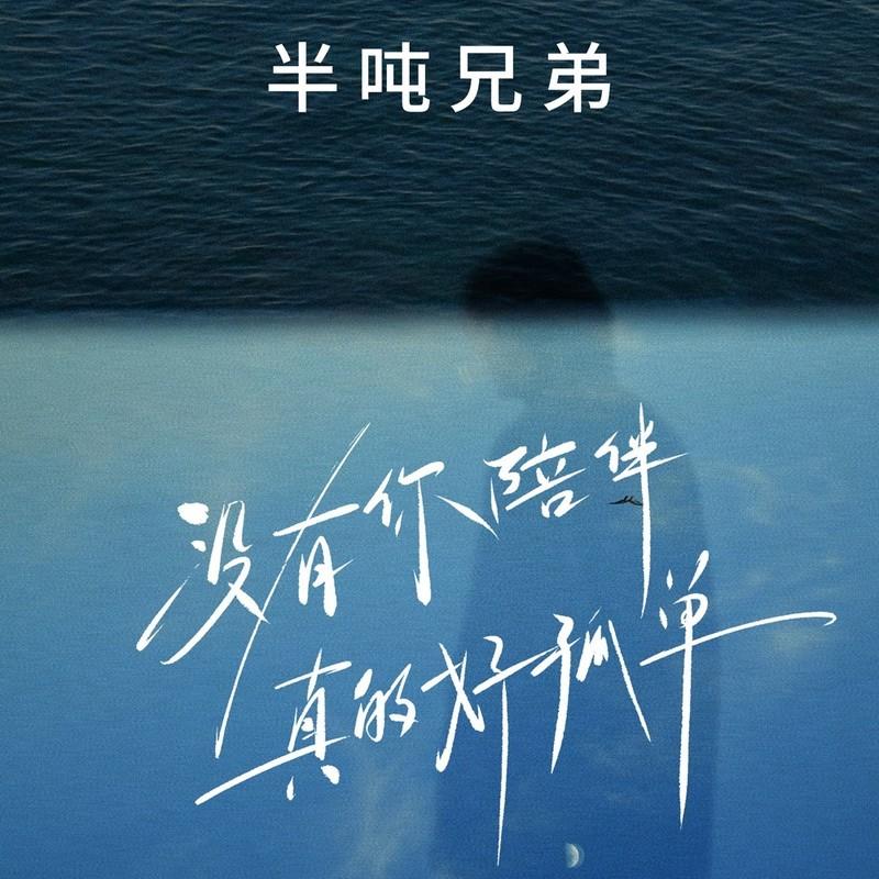 没有你陪伴真的好孤单 (DJ九零版伴奏)封面