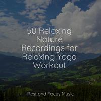 50 Relaxing Nature Recordings for Relaxing Yoga Workout