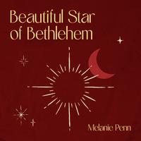 Beautiful Star of Bethlehem