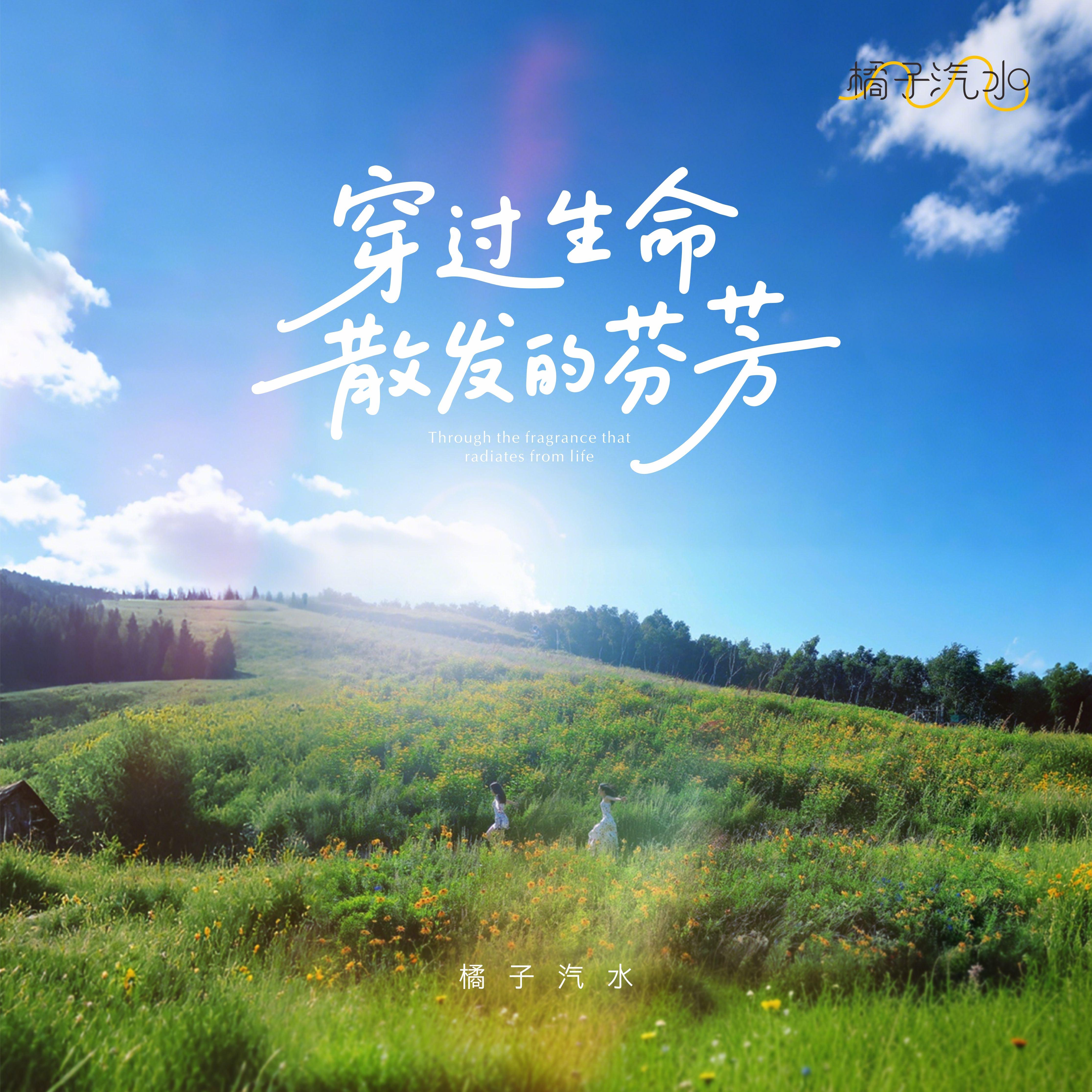 穿过生命散发的芬芳封面