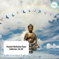 Peaceful Meditation Tunes Collection, Vol. 02