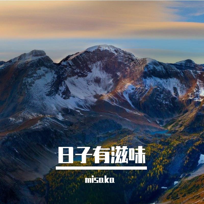 晨光里的歌封面