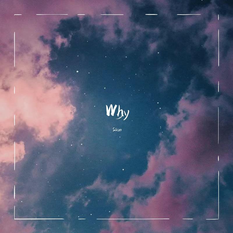 Why(Siicko Remix)